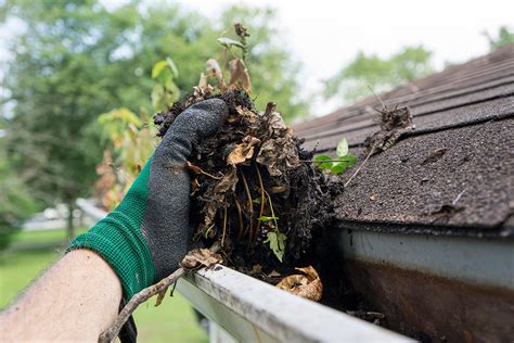 Tips to Prevent Clogged Gutters | EverDry Toledo | OH & MI