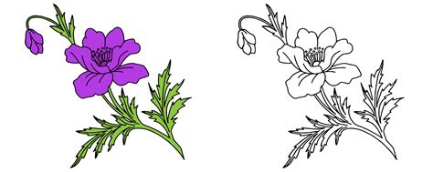 Flower Illustration Coloring Page Free Stock Photo - Public Domain Pictures