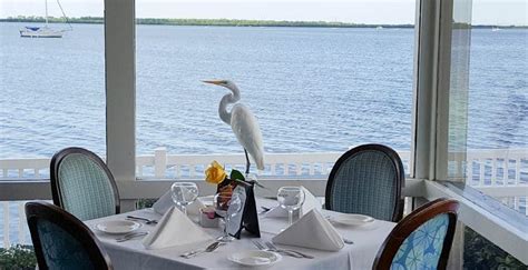 apollo beach restaurants on the water - Charmer Blogsphere Image Library