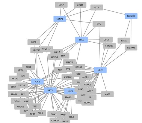 Analysis of candidate gene regulatory pathway. | Download Scientific Diagram