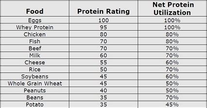 Muscle Growth Rules To Gain Muscle Fast