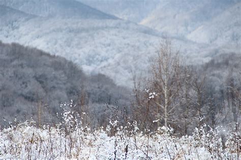 Winter in Carpathians on Behance