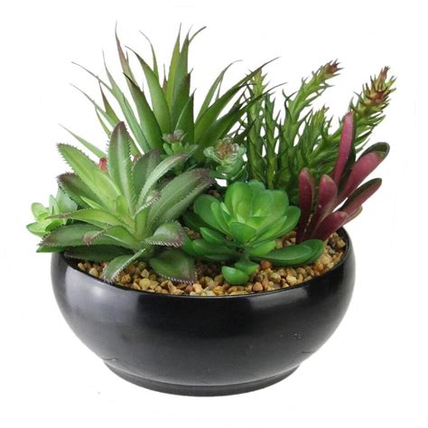 Decorative Succulent Plant Arrangement In A Round Black Container | Artificial succulent ...