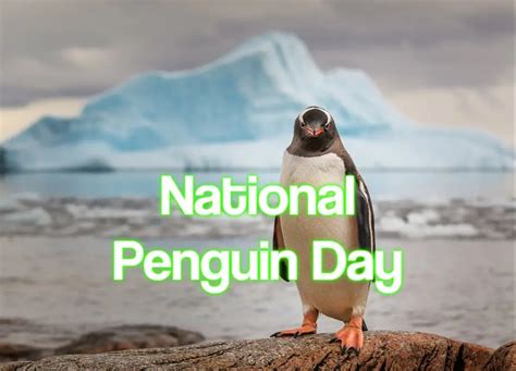 National Penguin Day 2024 - When, Where and Why it is Celebrated?