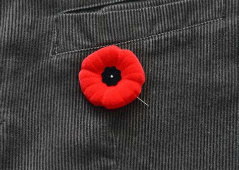 Poppies during a pandemic: The Royal Canadian Legion launches new ways to donate to veterans ...