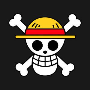 Straw Hat Pirates | Heroes Wiki | FANDOM powered by Wikia