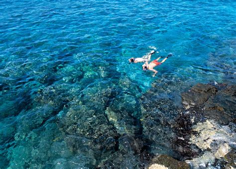 Kauai Snorkeling - Kauai Snorkel Tours