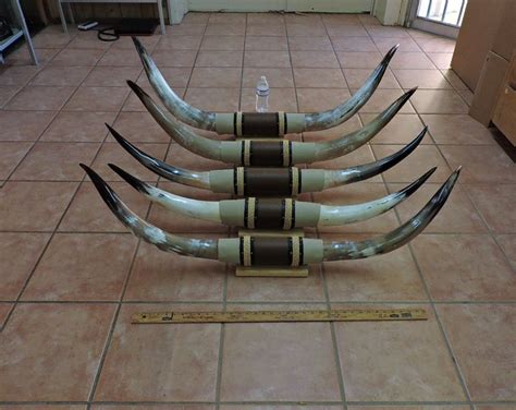 Steer Horns 4' 4'5 Mounted LONGHORN Steer Horns BULL Horns Cow Horns ...