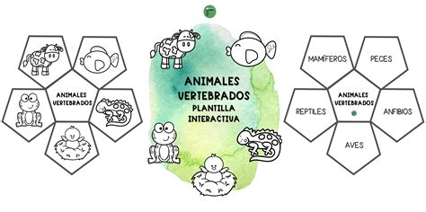 Características de los animales vertebrados e invertebrados un viaje por la diversidad del reino ...