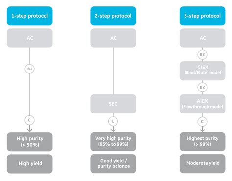 Antibody purification protocols | Cytiva