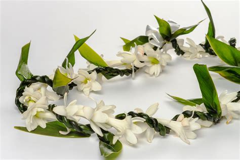 Hawaiian Lei Flowers White | Best Flower Site