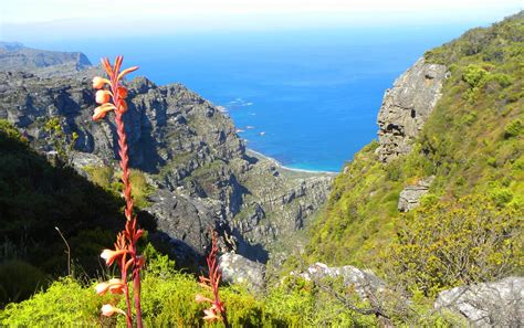 Hiking up the Twelve Apostles to Table Mountain, Cape Town