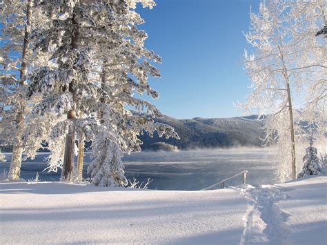 Images Gratuites : arbre, eau, la nature, branche, Montagne, neige, du froid, hiver, lumière du ...
