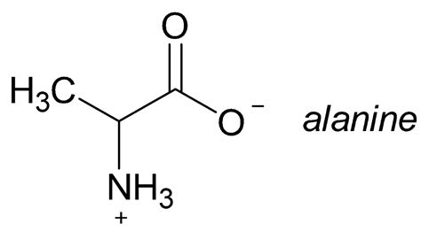 Solved The structure of the amino acid alanine is shown | Chegg.com