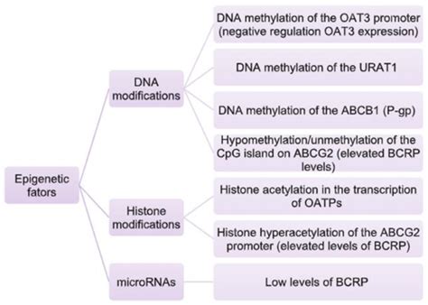 Some examples of epigenetic changes. | Download Scientific Diagram