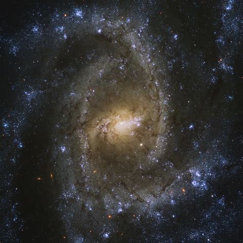 Jean-Baptiste Faure: Barred Spiral Galaxy NGC 2835