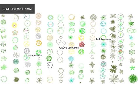 Trees top view CAD Blocks free download, AutoCAD 2007 | Trees top view, Cad blocks free, Cad blocks