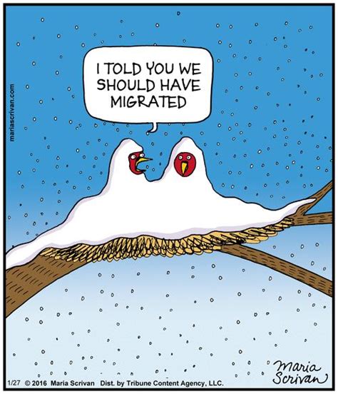 Today on Half Full - Comics by Maria Scrivan | Winter humor, Cold ...