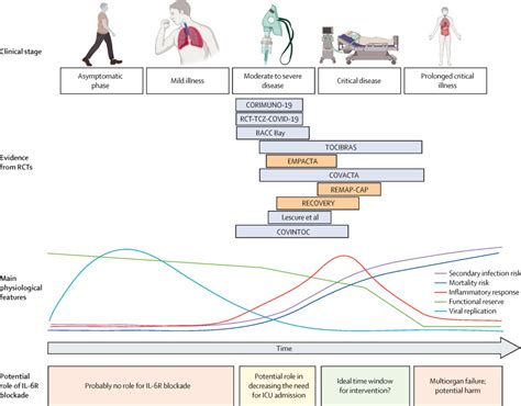 Interleukin-6 receptor blockade in patients with COVID-19: placing ...