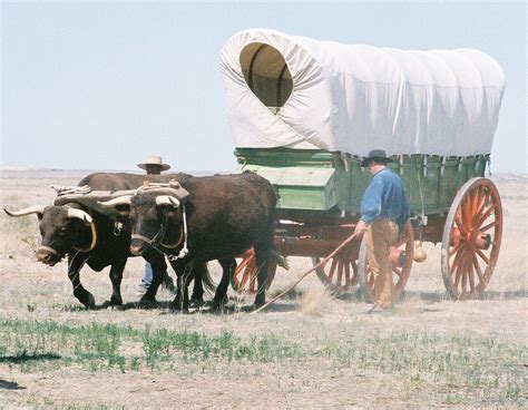 Image of Ox Wagon from Bent's Old Fort on the Santa FE Trail | Santa fe trail, Old fort ...