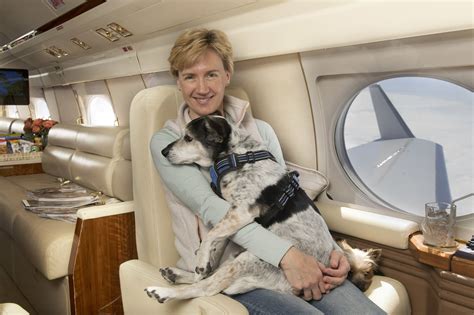 Private jet firm launches two new routes for cats and dogs