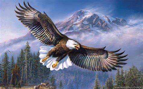 Bald Eagles Wallpapers - Wallpaper Cave