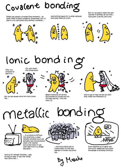 Polar Covalent Bond Cartoon