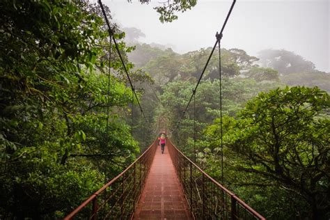 11 Things to know before visiting Monteverde Cloud Forest — Walk My World