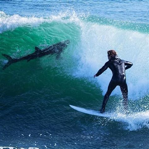 660 best Amazing Surf Photos images on Pinterest | Waves, Surfing and The wave