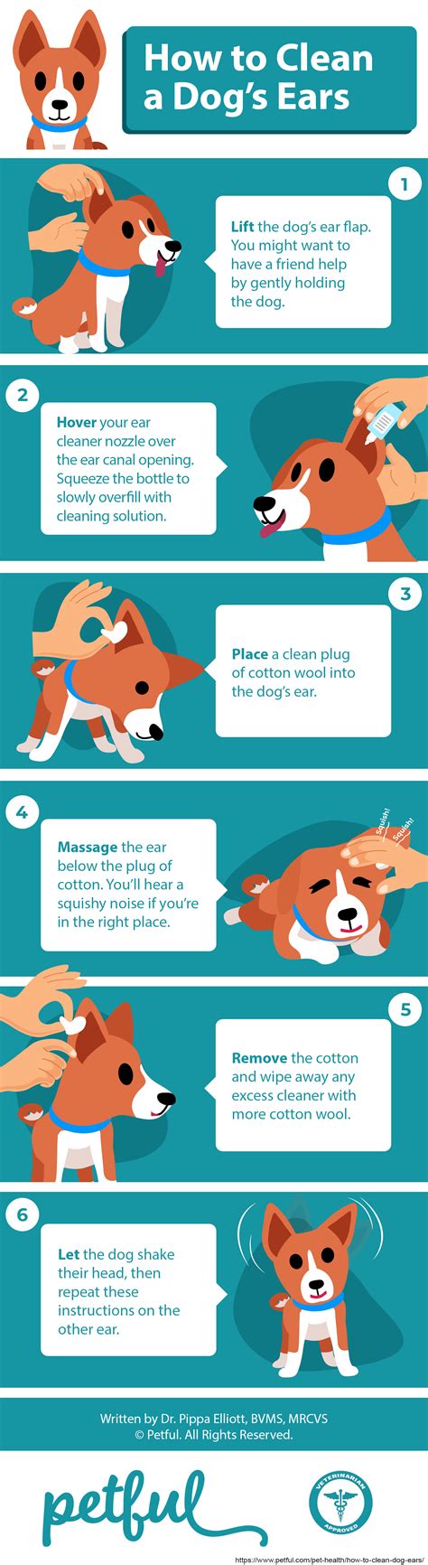 How to Clean Dog Ears: An Expert Guide (Vet-Approved Advice) | Dog ear ...