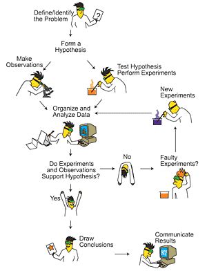 What are the Steps of the Scientific Method - Universe Today