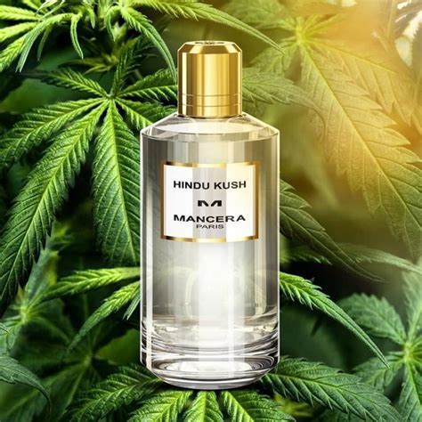 Buy Mancera Hindu Kush For Men And Women EDP 120ml Online - AAR Fragnances