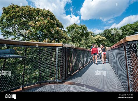 Tree Top Walkway - Kew Gardens Stock Photo - Alamy