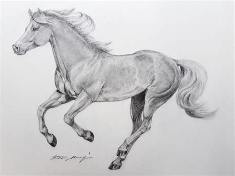 Horse Galloping Drawing ~ Galloping Horse Deviantart Drawings Gallop ...