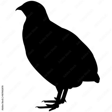 Quail Silhouette Vector Graphics Stock Vector | Adobe Stock