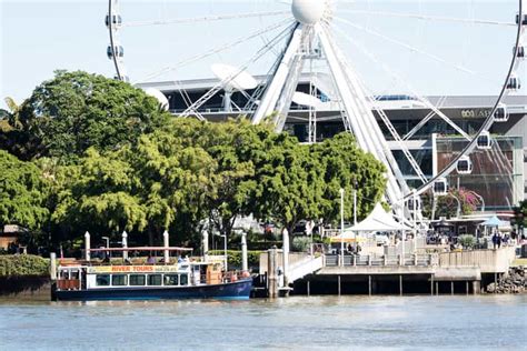 Brisbane: Sightseeing River Cruise with Morning Tea | GetYourGuide