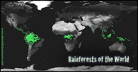 Tropical Rainforest | World Biomes | The Wild Classroom