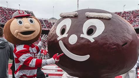 What Is The Buckeyes Mascot Supposed To Be?