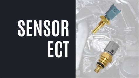 Sensor ECT | Cómo funciona, dónde se ubica y cómo repararlo