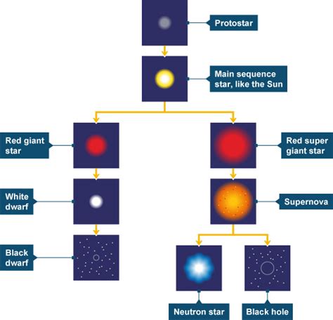 BBC - GCSE Bitesize: Life cycles of stars