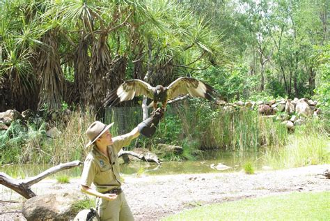 The Bludger: Territory Wildlife Park & Berry Springs