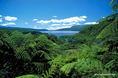 Lake Tarawera | Geographic Media