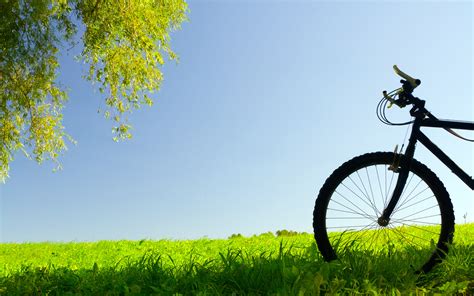 🔥 [50+] Bicycle Pictures and Wallpapers | WallpaperSafari