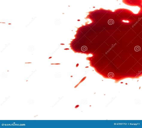 Blood Stains (puddle) Stock Photography | CartoonDealer.com #42651026