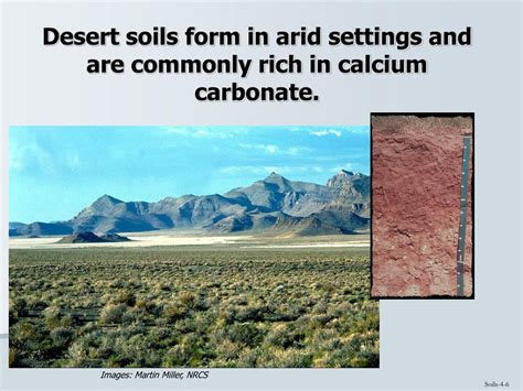 PPT - Different soil types develop in different climates. PowerPoint ...