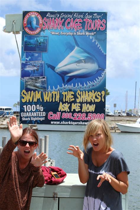 North Shore Shark Adventures - Backpackers Vacation Inn and Plantation ...