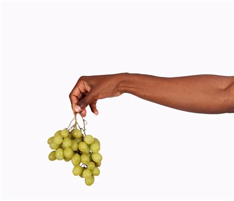 Hand Holding Green Grapes - High Quality Free Stock Images
