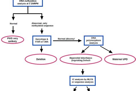 Diagnosing PWS - Prader-Willi Syndrome Association NZ