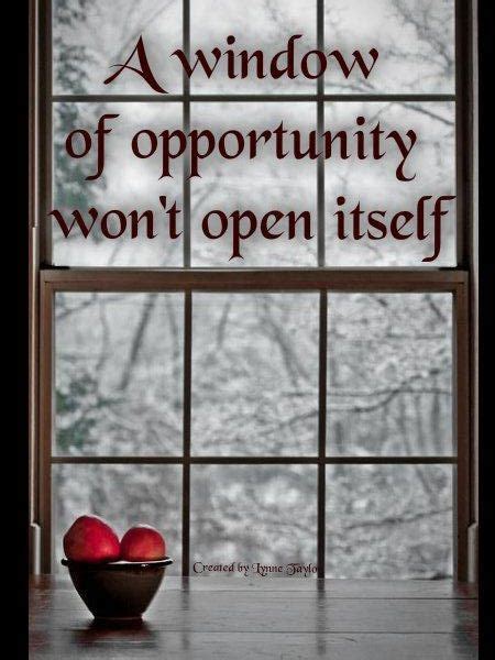 A window of opportunity won't open itself | Windows, Opportunity knocks, Opportunity