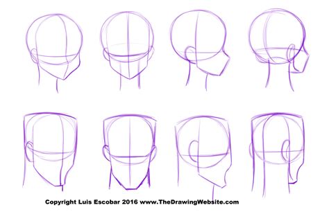 Head Shape Drawing at GetDrawings | Free download